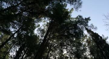 Фото номера Номер  Гостиница Гостевой дом Акварель г. Дагомыс 58