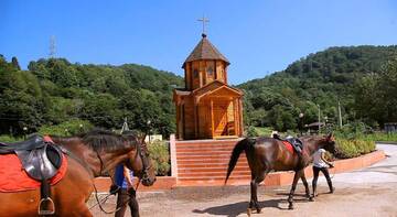 Фото Гостевой дом Конно-Спортивный Клуб г. Дагомыс 4